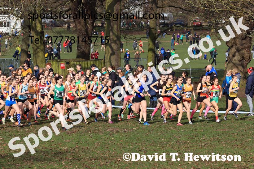 Womens Under-17s, 2024 CAU Inter Counties Cross Country Champs., Wollaton Park, Nottingham. Photo: David T. Hewitson/Sports for All Pics